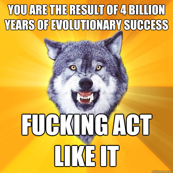 you are the result of 4 billion years of evolutionary success fucking act like it  Courage Wolf