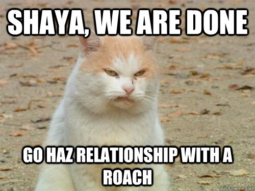 shaya, we are done go haz relationship with a roach - shaya, we are done go haz relationship with a roach  Disgusted Cat