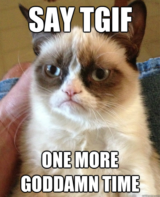 Say TGIF One more goddamn time  Grumpy Cat