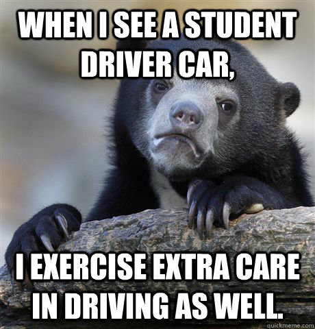When I see a student driver car, I exercise extra care in driving as well.  Confession Bear