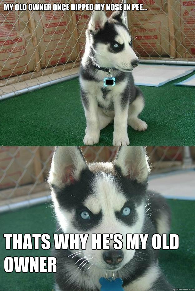 my old owner once dipped my nose in pee... thats why he's my old owner  Insanity puppy