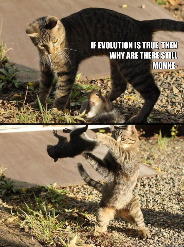 If evolution is true, then why are there still monke-  Annoying Squirrel