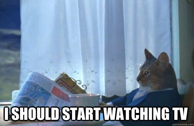 i should start watching tv  Sophisticated Cat