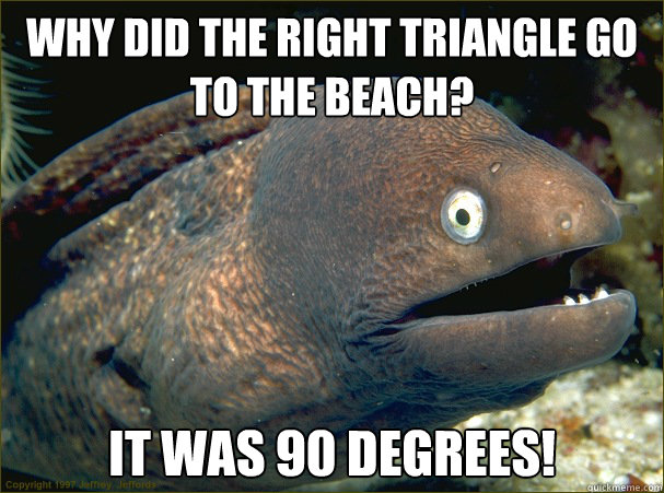 Why did the right triangle go to the beach?  It was 90 degrees!  Bad Joke Eel