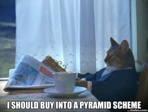 I should buy into a pyramid scheme  Contemplative Breakfast Cat
