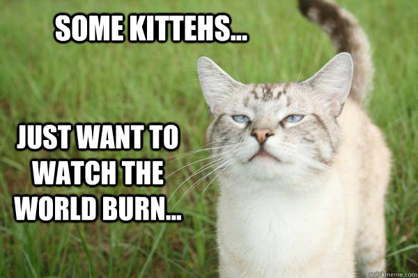 Some Kittehs... Just want to watch the world burn... - Some Kittehs... Just want to watch the world burn...  LOLCat