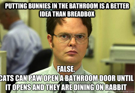 Putting bunnies in the bathroom is a better idea than breadbox False.
Cats can paw open a bathroom door until it opens and they are dining on rabbit  Schrute