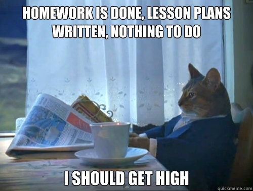 Homework is done, lesson plans written, nothing to do i should get high  The One Percent Cat