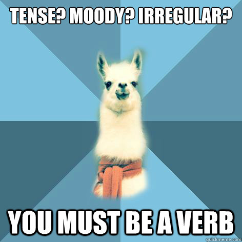 Tense? Moody? Irregular? You must be a verb - Tense? Moody? Irregular? You must be a verb  Linguist Llama