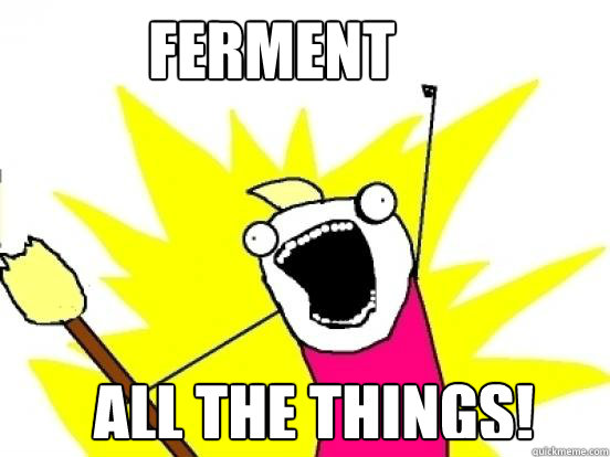FERMENT ALL THE THINGS!  X All The Things