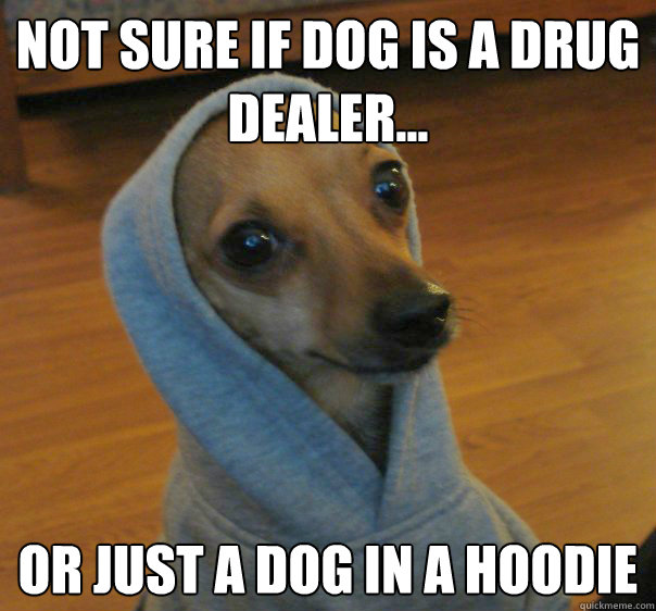 Not sure if dog is a drug dealer... Or just a dog in a hoodie - Not sure if dog is a drug dealer... Or just a dog in a hoodie  Drugdealerdog
