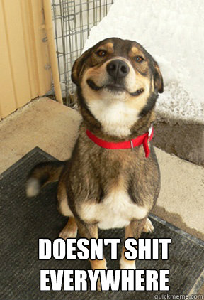  Doesn't shit everywhere  Good Dog Greg