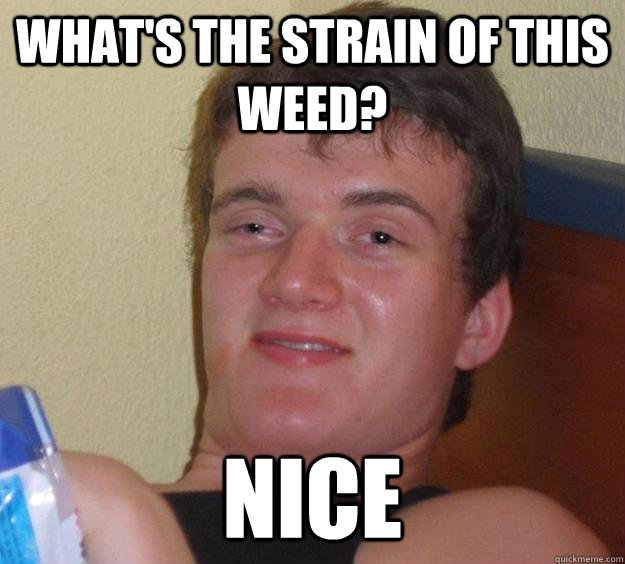 What's the strain of this weed? Nice - What's the strain of this weed? Nice  10 Guy