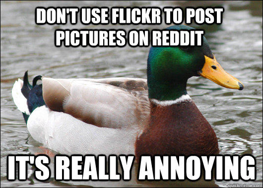don't use flickr to post pictures on reddit it's really annoying  Actual Advice Mallard