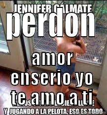 PERDON AMOR ENSERIO YO TE AMO A TI First World Problems Cat