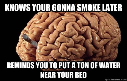 Knows your gonna smoke later Reminds you to put a ton of water near your bed  Good Guy Brain