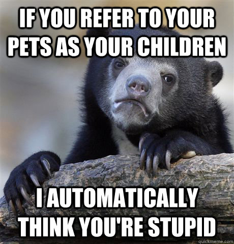If you refer to your pets as your children I automatically think you're stupid  Confession Bear