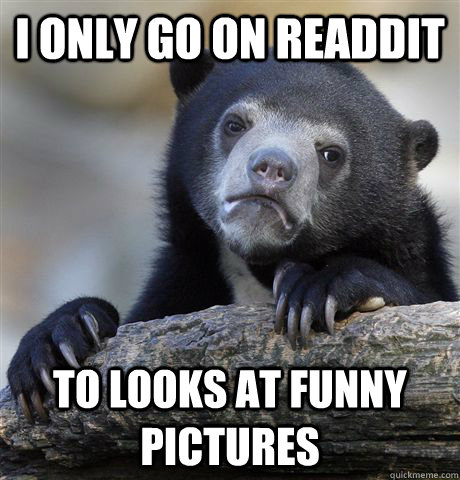 i only go on readdit TO LOOKS at funny pictures  Confession Bear