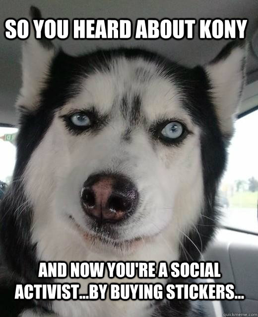 So you heard about Kony and now you're a social activist...by buying stickers... - So you heard about Kony and now you're a social activist...by buying stickers...  Skeptical Dog Charles