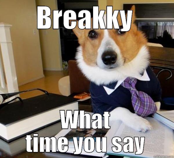 BREAKKY WHAT TIME YOU SAY Lawyer Dog