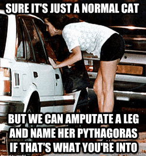 Sure it's just a normal cat but we can amputate a leg and name her pythagoras if that's what you're into  Karma Whore