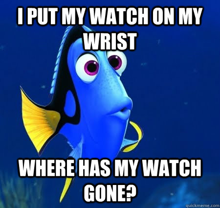 I put my watch on my wrist Where has my watch gone?  