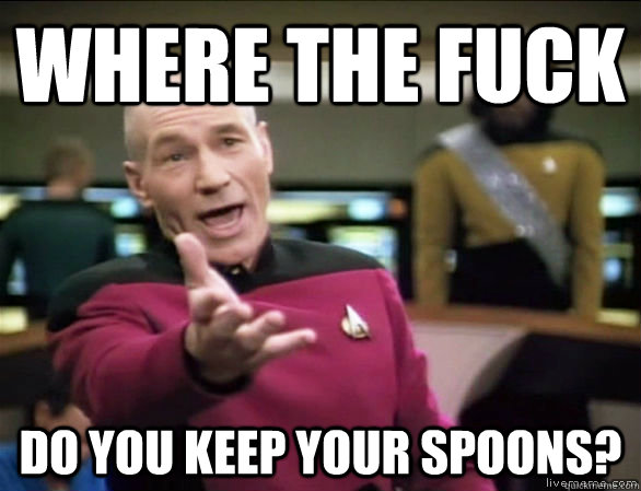 where the fuck do you keep your spoons? - where the fuck do you keep your spoons?  Annoyed Picard HD