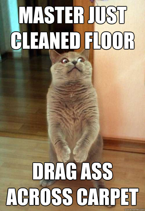 Master just cleaned floor Drag ass across carpet  Horrorcat