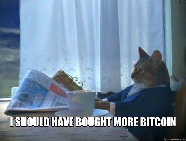  I Should have bought more bitcoin  morning realization newspaper cat meme