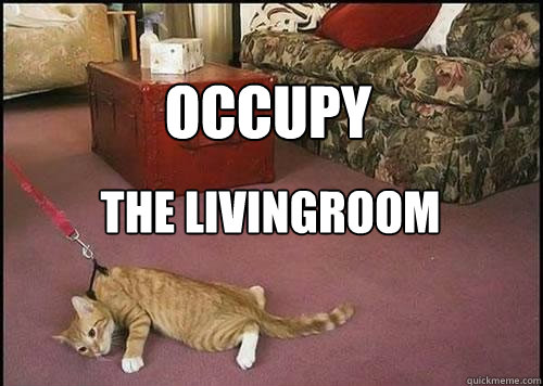 Occupy the livingroom  Cats are not dogs