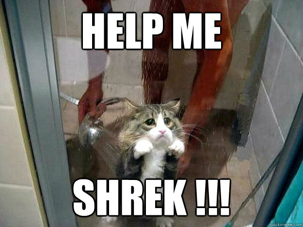 HELP ME SHREK !!!  Shower kitty