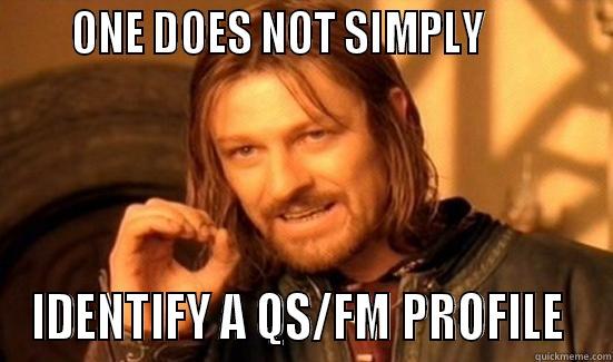      ONE DOES NOT SIMPLY            IDENTIFY A QS/FM PROFILE  Boromir
