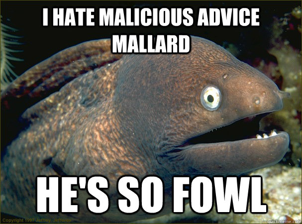 i hate malicious advice mallard he's so fowl  Bad Joke Eel
