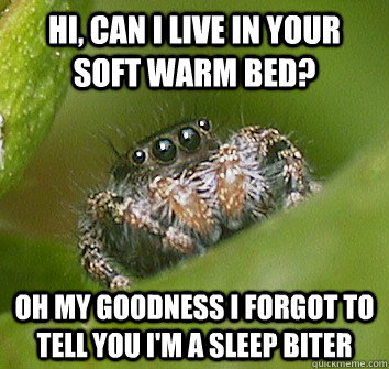 Hi, can I live in your soft warm bed? oh my goodness i forgot to tell you i'm a sleep biter  Misunderstood Spider