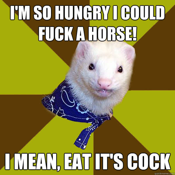 I'm so hungry I could fuck a horse! I mean, Eat it's cock - I'm so hungry I could fuck a horse! I mean, Eat it's cock  Freudian Slip Ferret