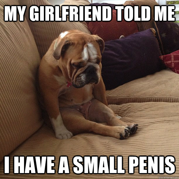 My girlfriend told me I have a small penis - My girlfriend told me I have a small penis  depressed dog