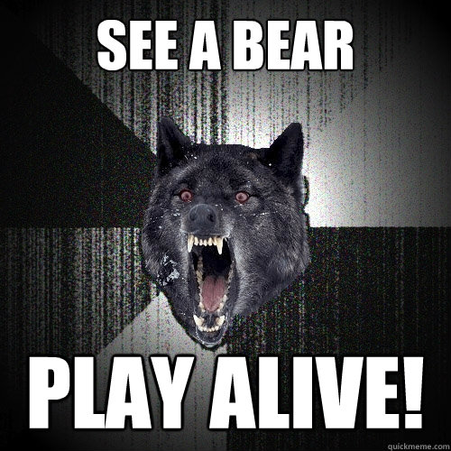 See a bear play alive!  Insanity Wolf