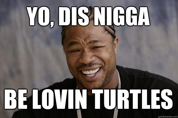 YO, dis nigga  be lovin turtles - YO, dis nigga  be lovin turtles  Xzibit meme