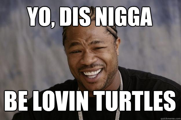 YO, dis nigga  be lovin turtles  Xzibit meme