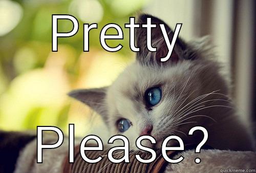 PRETTY  PLEASE? First World Problems Cat