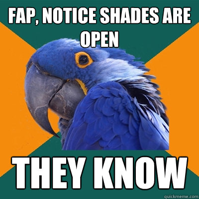fap, notice shades are open they know  Paranoid Parrot