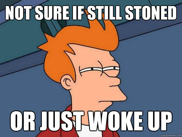 Not sure if still stoned or just woke up  Futurama Fry