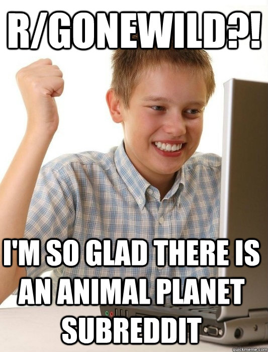 r/gonewild?! i'm so glad there is an animal planet subreddit   First Day on the Internet Kid