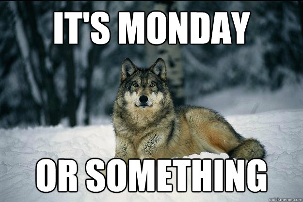 it's monday OR SOMETHING  Wolf