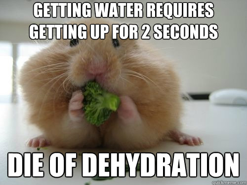Getting water requires getting up for 2 seconds Die of dehydration  