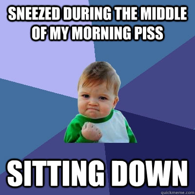 Sneezed during the middle of my morning piss sitting down - Sneezed during the middle of my morning piss sitting down  Success Kid