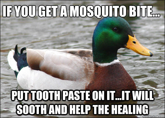 If you get a mosquito bite... Put tooth paste on it...it will sooth and help the healing  Actual Advice Mallard