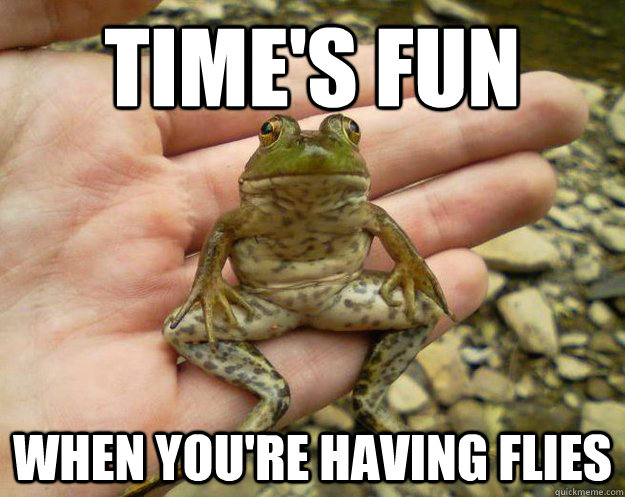 time's fun when you're having flies - time's fun when you're having flies  Chill Frog