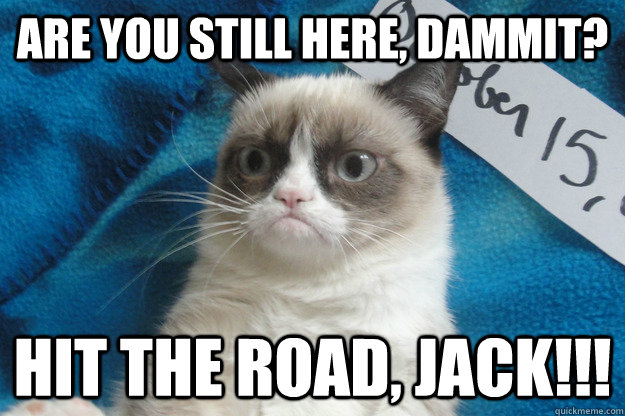 are you still here, dammit? hit the road, jack!!!  Grumpy Cat