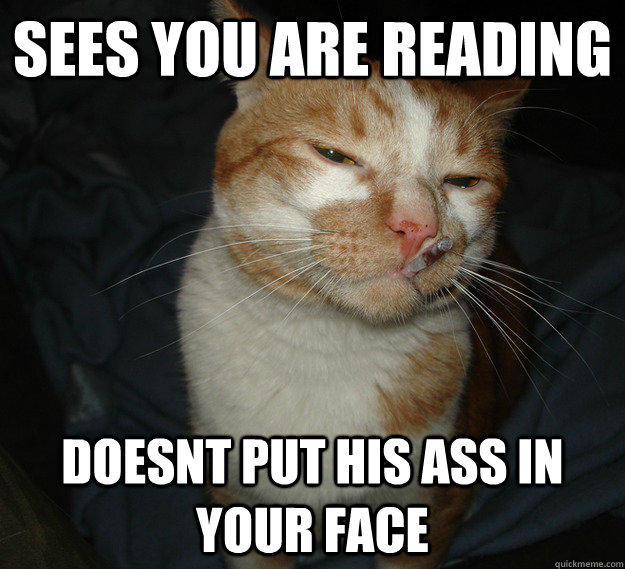 Sees you are reading doesnt put his ass in your face - Sees you are reading doesnt put his ass in your face  Cool Cat Craig